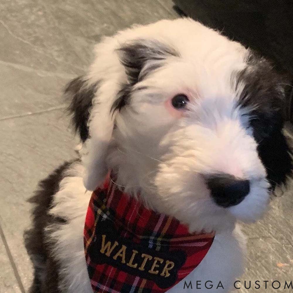 Personalized Dog Lover Cute Dog Bandana Pet Bandana