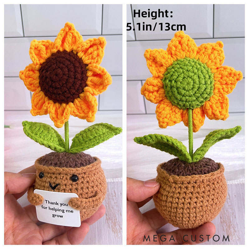 Personalized Adorable Crochet Plant Decor Custom Message Perfect Emotional Support Holiday Gift