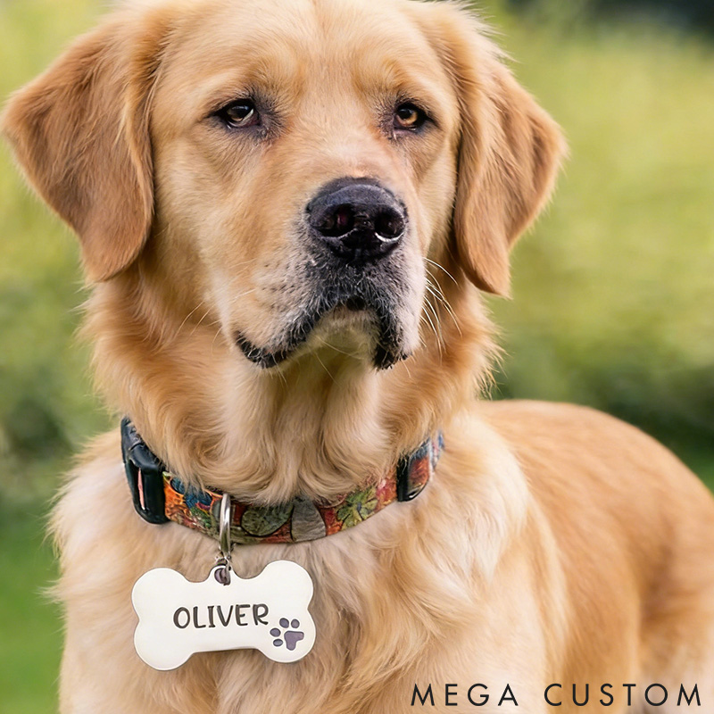 Personalized Cute Dog Tag Personalized for Dog Custom Bone Dog Tags Dog Name Tags Puppy Dog Tag Stainless Steel Pet ID Tag