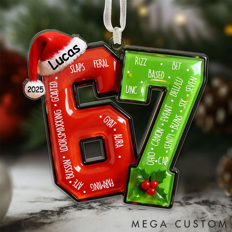 Personalized Funny Teen Slang Ornament 67 Custom Name Christmas Ornament for the whole family