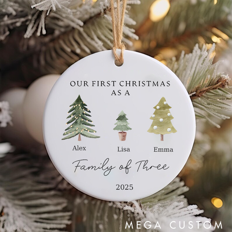 Personalized Family Christmas Ornaments Capture the Magic of the Holidays with Your Names