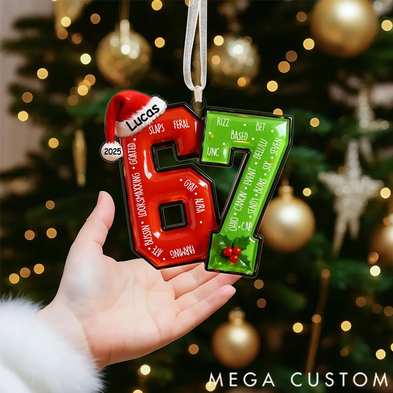 Personalized Funny Teen Slang Ornament 67 Custom Name Christmas Ornament for the whole family
