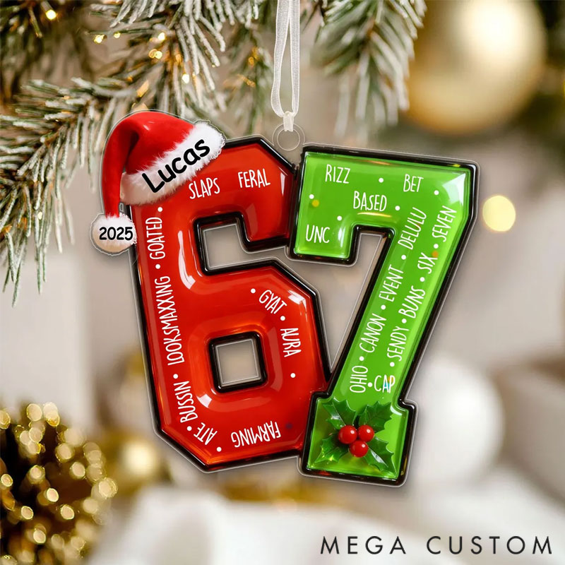 Personalized Funny Teen Slang Ornament 67 Custom Name Christmas Ornament for the whole family
