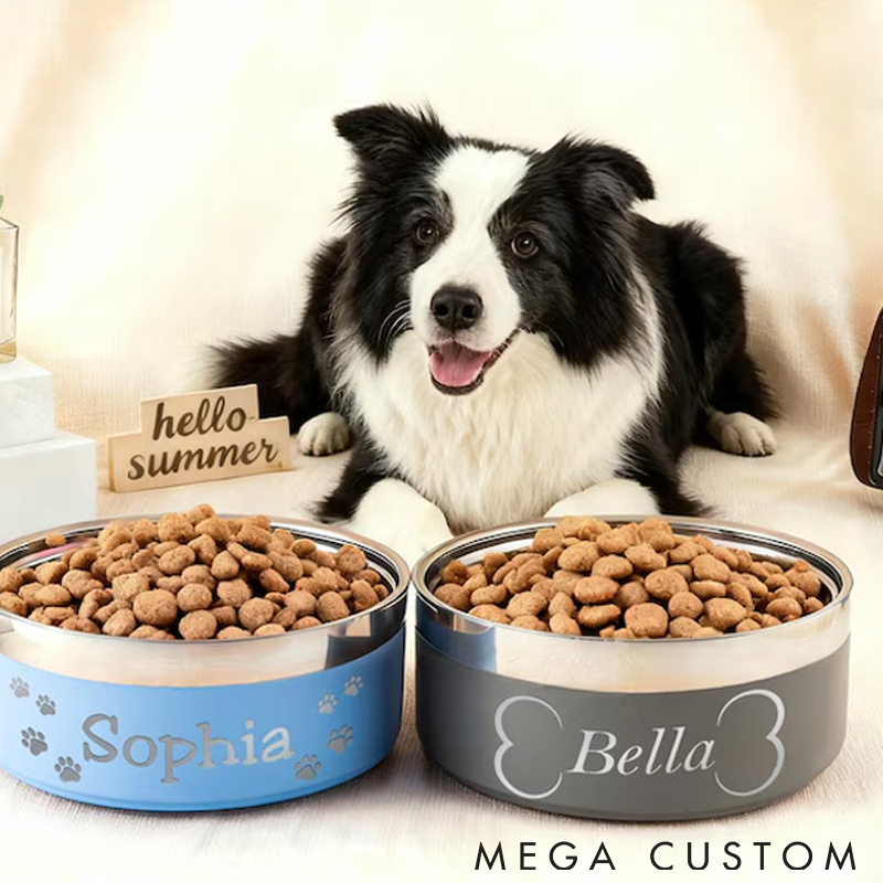 Personalized Pet Lover Custom Pet Bowl with Name Cute Paw Pet Bowl