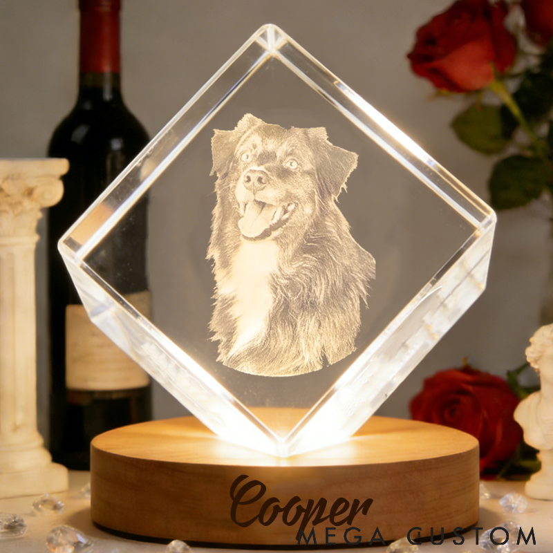 Personalized Pet Lover 3D Crystal Pet Photo Crystal Night Light