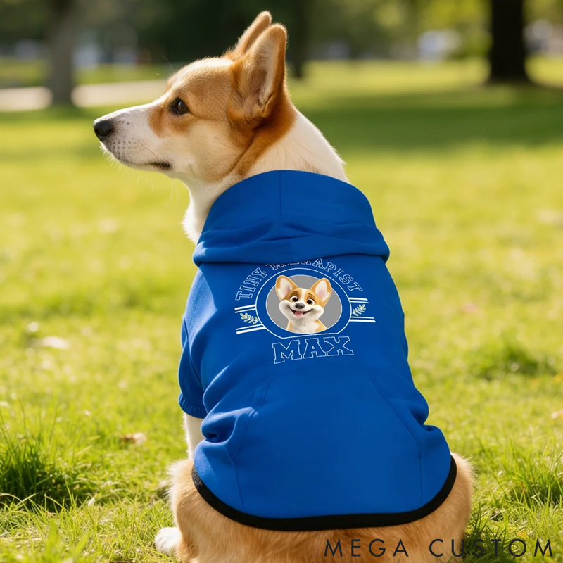 Personalized 3D Cartoon Dog Soft Warm Puppy Dog Hoodie Clothes with Name and Text Birthday Gift for Pet Lover Owner