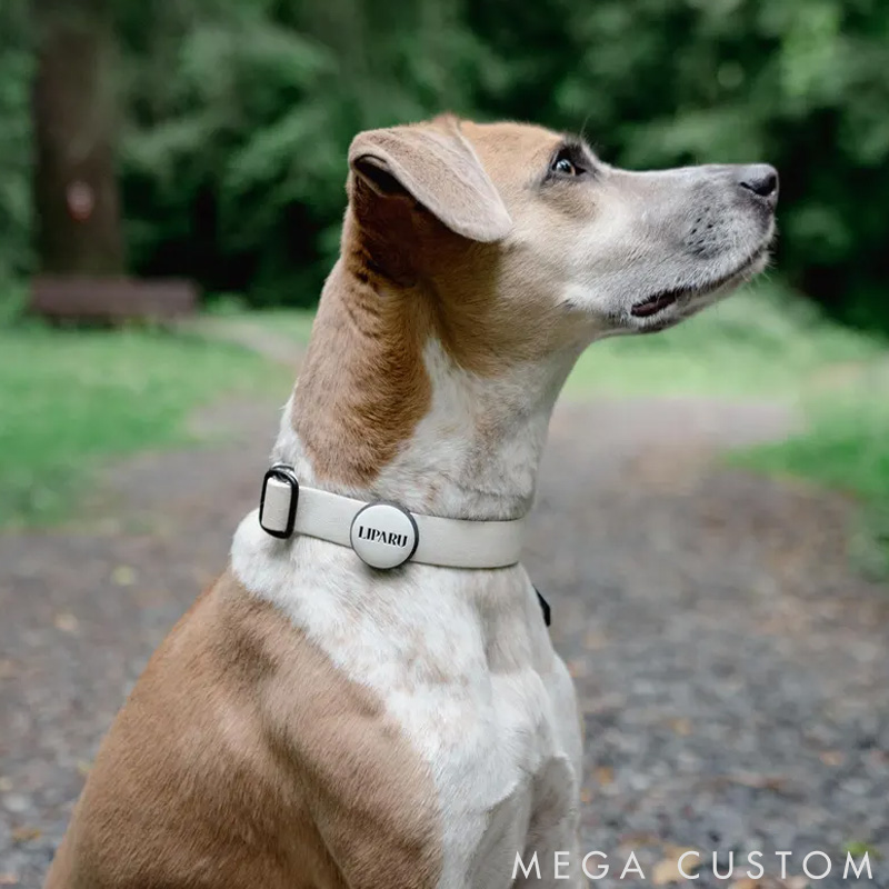 Personalized Silent Slide on Dog ID Tag with Design Custom Dog Name Collar Tag Silicone Dog AirTag Holder Cute Popular Pet ID Tags