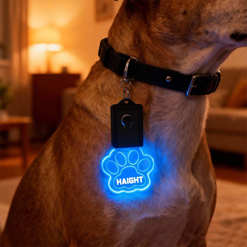 Personalized Paw and Bone Shaped LED Acrylic Dog Collar Tag with Name 7 Light Colors Dogs Safety Night Walking Camping Accessories for Pet Lovers