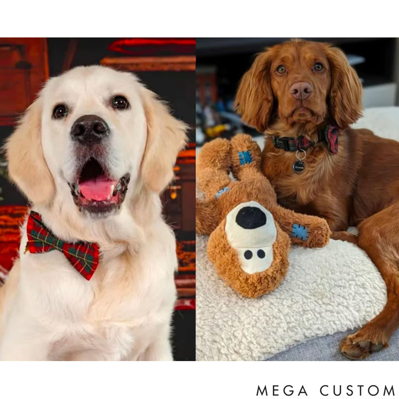 Personalized Dog Lover Engraved with Your Pet's Name Stylish and Durable Design Dog Collar