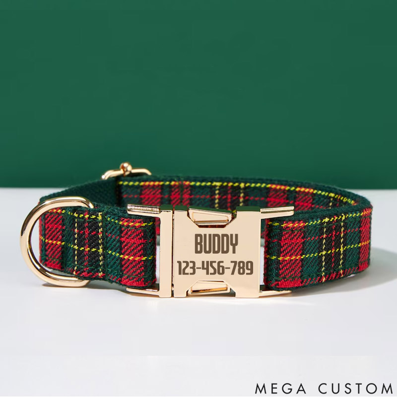 Personalized Dog Lover Engraved with Your Pet's Name BUDDY Design Dog Collar
