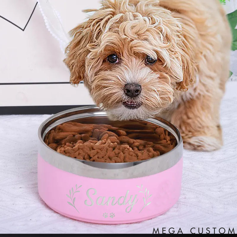 Personalized Pet Lover Stainless Steel Pet Bowl with Name Pet Bowl081506