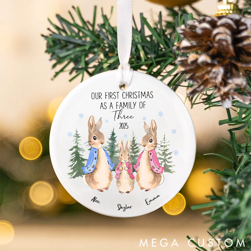 Personalized Our First Christmas as a Family Christmas Ornament Gift for Family