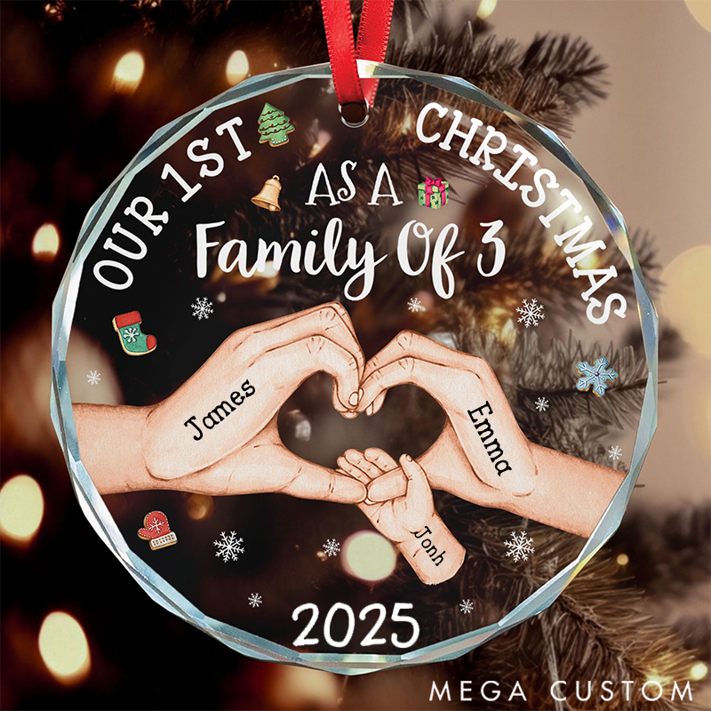 Personalized Family Christmas Ornaments Commemorating Our First Christmas as a Family