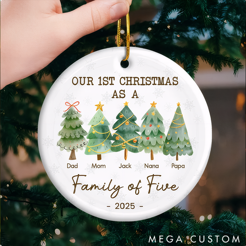 Personalized Family Christmas Ornaments Commemorating Our First Festive Season with Love and Joy