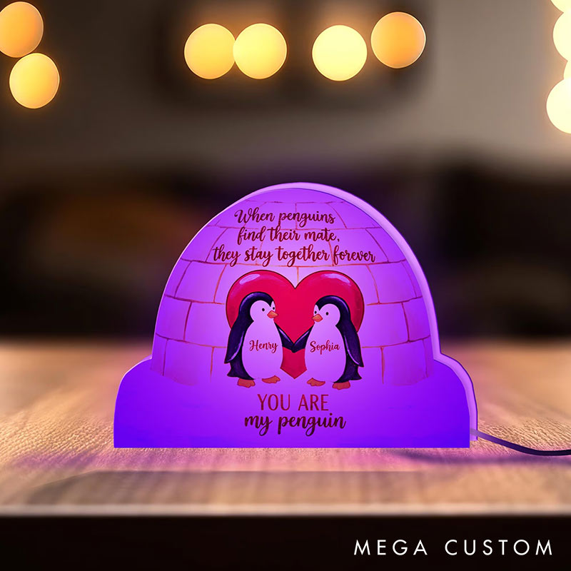 Personalized Couple Penguin Holding Hands Light Box Custom Name Night Light Decor Igloo Heart Decor You are My Penguin Gift for Him Her 
