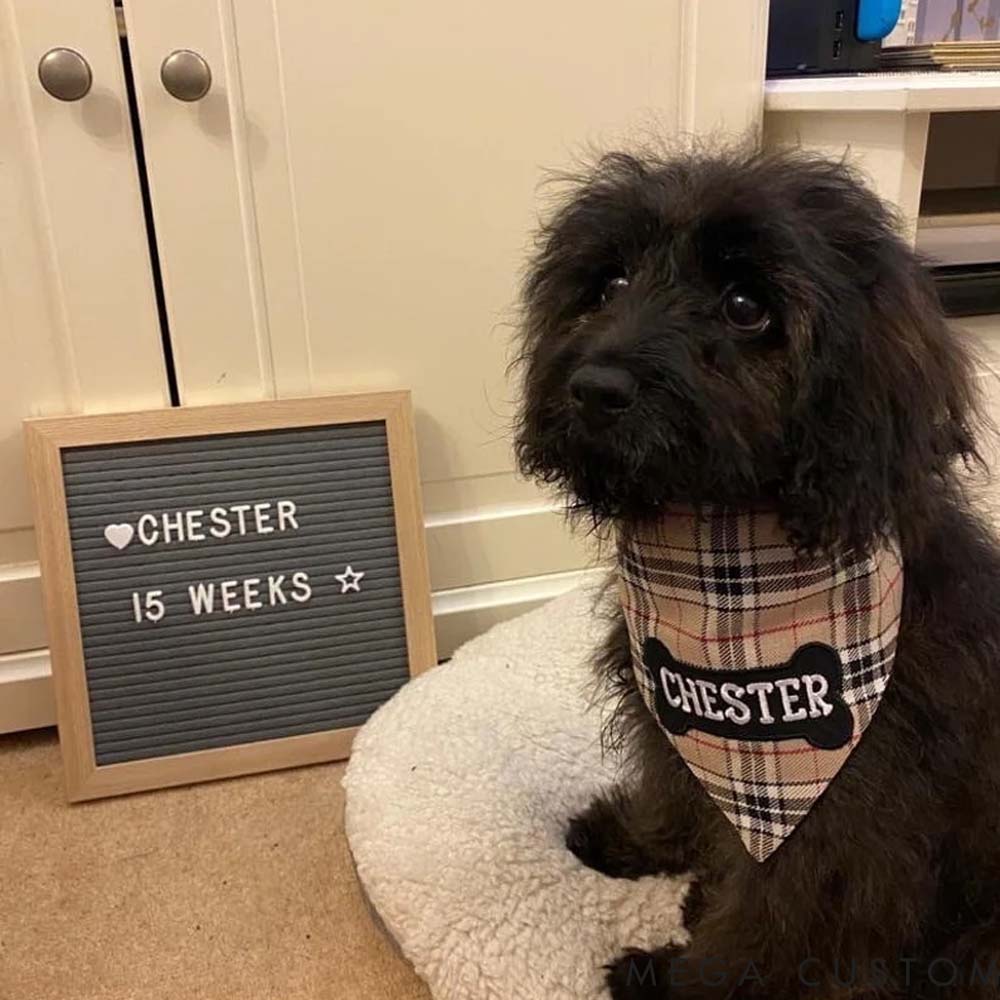 Personalized Dog Lover Cute Dog Bandana Pet Bandana