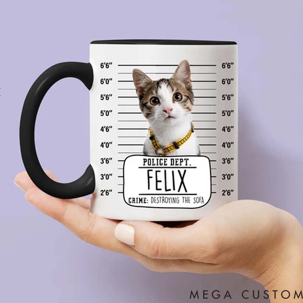 Personalized Pet Lover Funny Custom Pet Portrait Mugs