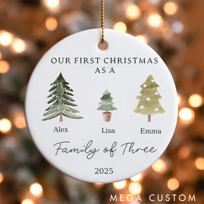 Personalized Family Christmas Ornaments Capture the Magic of the Holidays with Your Names