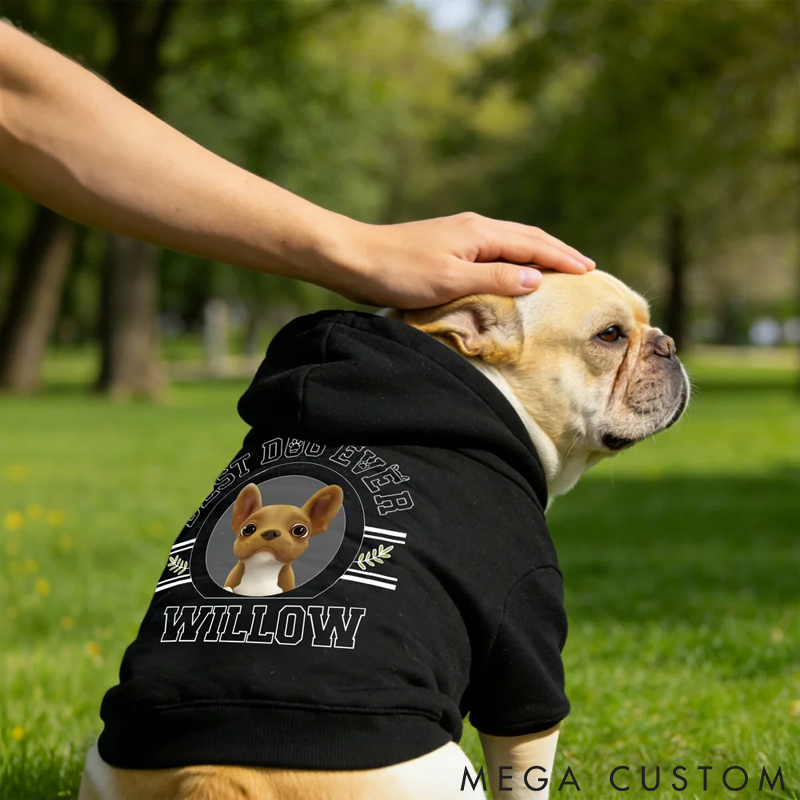 Personalized 3D Cartoon Dog Soft Warm Puppy Dog Hoodie Clothes with Name and Text Birthday Gift for Pet Lover Owner