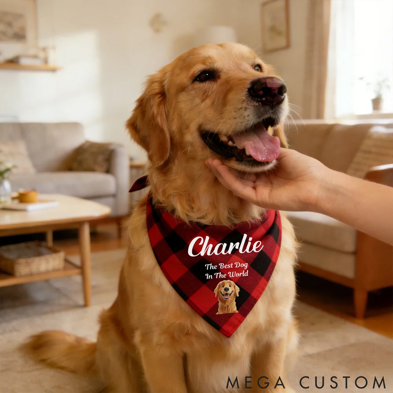 Personalized Dog Lover Multicolor Plaid 3D Cartoon Soft Pet Bandana with Pet Name and Text Pet Holiday Accessories Birthday Gift for Pet Owners Lovers Bandana