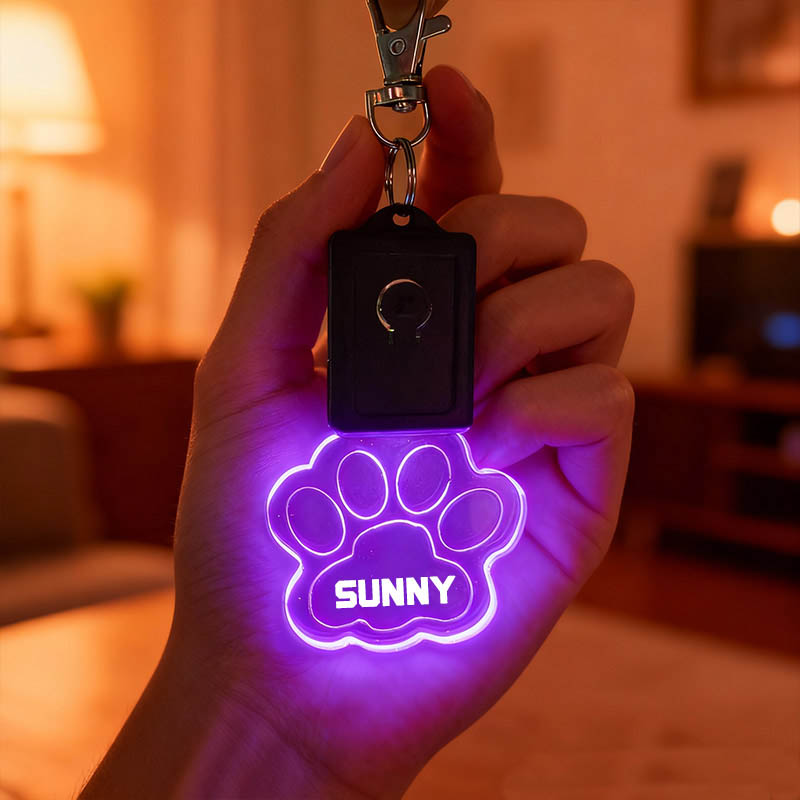 Personalized Paw and Bone Shaped LED Acrylic Dog Collar Tag with Name 7 Light Colors Dogs Safety Night Walking Camping Accessories for Pet Lovers
