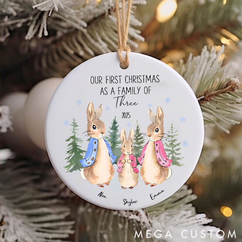 Personalized Our First Christmas as a Family Christmas Ornament Gift for Family