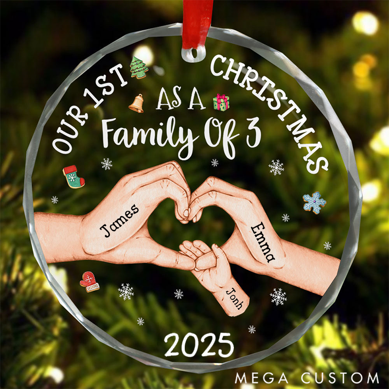 Personalized Family Christmas Ornaments Commemorating Our First Christmas as a Family