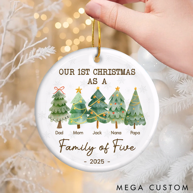 Personalized Family Christmas Ornaments Commemorating Our First Festive Season with Love and Joy