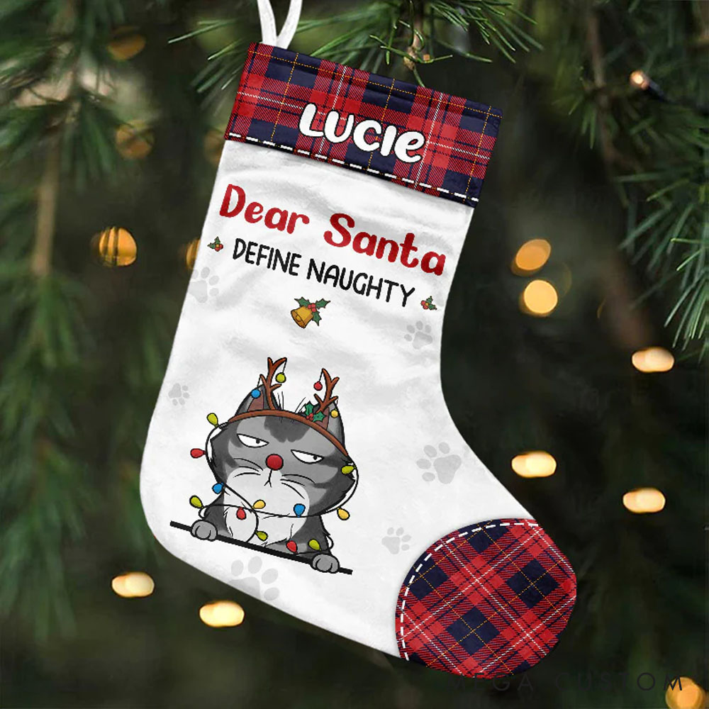 Personalized Pet Lover on the Naughty List Christmas Stockings