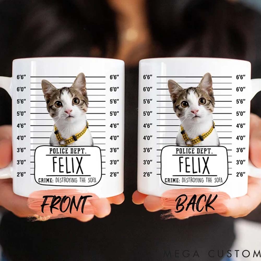 Personalized Pet Lover Funny Custom Pet Portrait Mugs