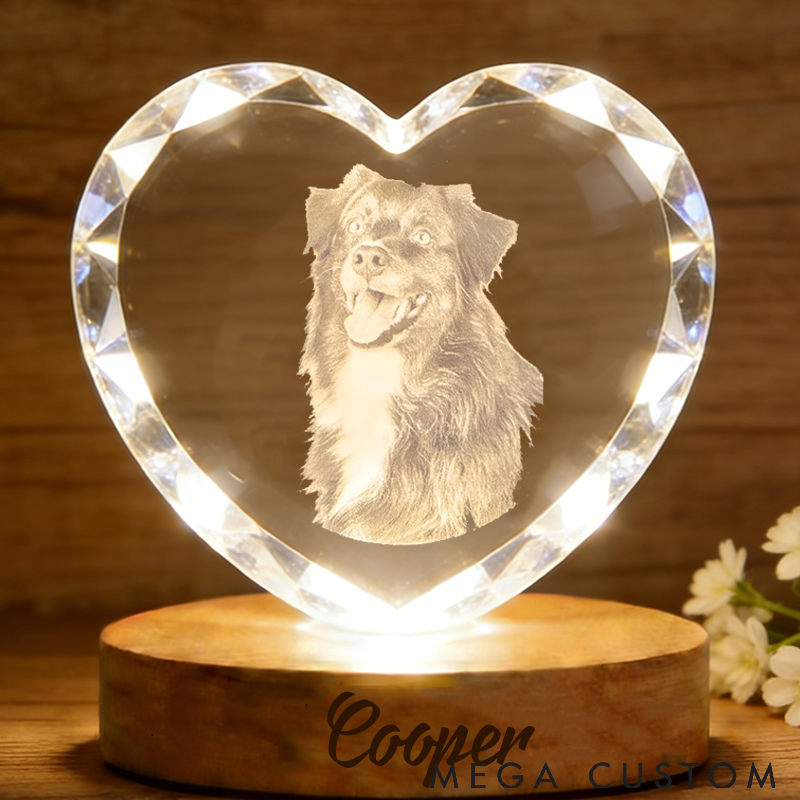 Personalized Pet Lover 3D Crystal Pet Photo Crystal Night Light