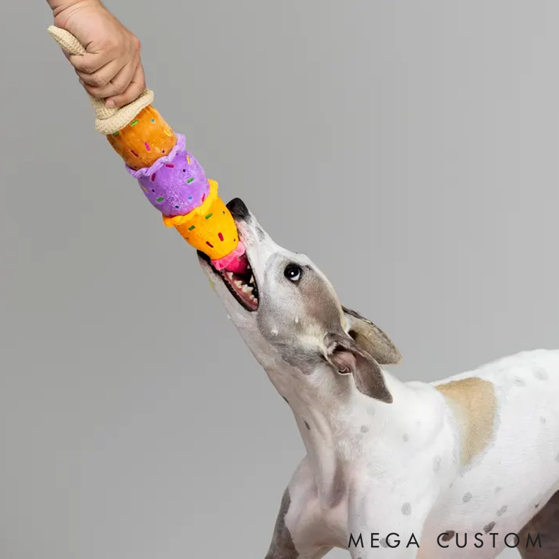 Personalized Dog Lover Squeaky Ice Cream Toy