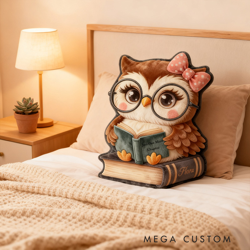 Personalized Funny Pillow Christmas Graphic 3D Print Owl Read One More Chapter Custom Name Gift for Reading Lovers