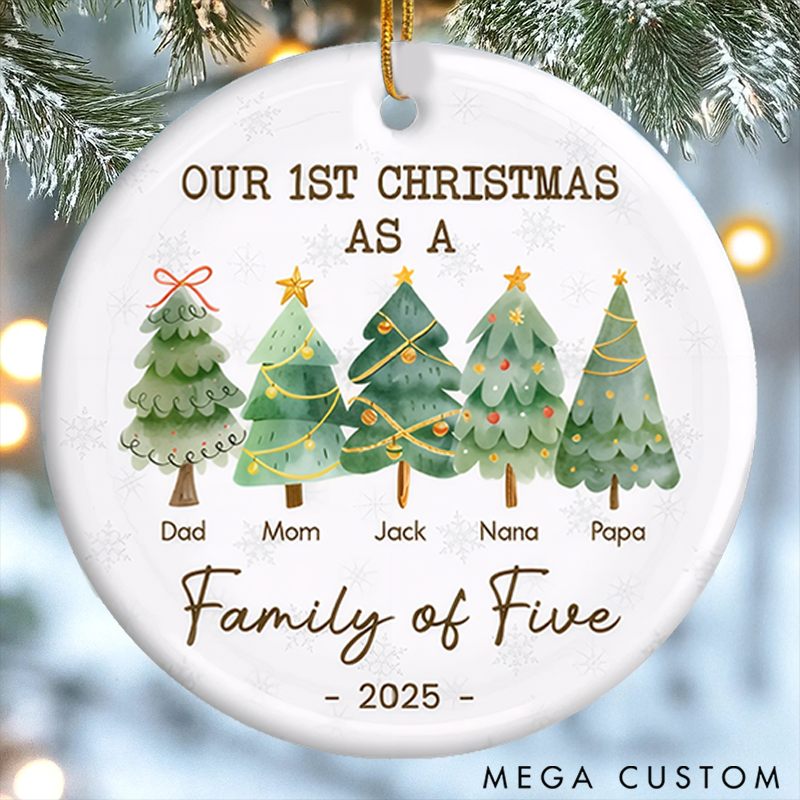 Personalized Family Christmas Ornaments Commemorating Our First Festive Season with Love and Joy