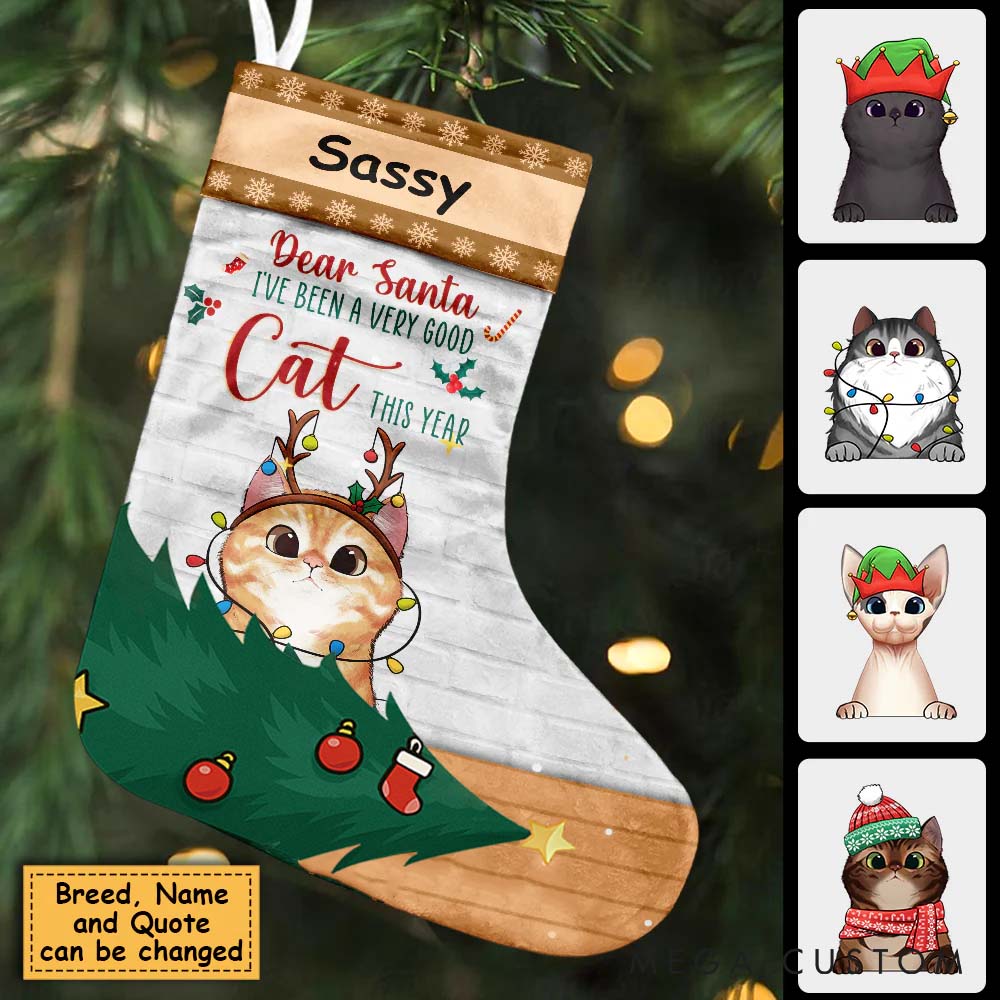 Personalized Cat Lover Naughty Nice I tried Christmas Stockings