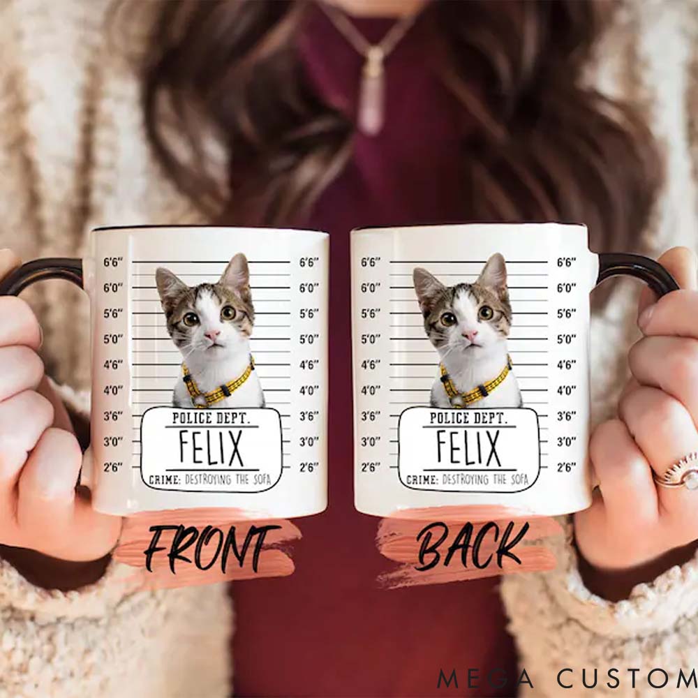 Personalized Pet Lover Funny Custom Pet Portrait Mugs