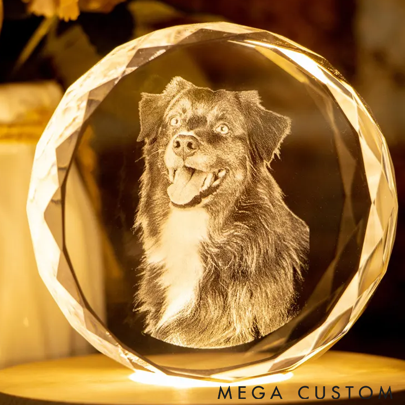 Personalized Pet Lover 3D Crystal Pet Photo Crystal Night Light