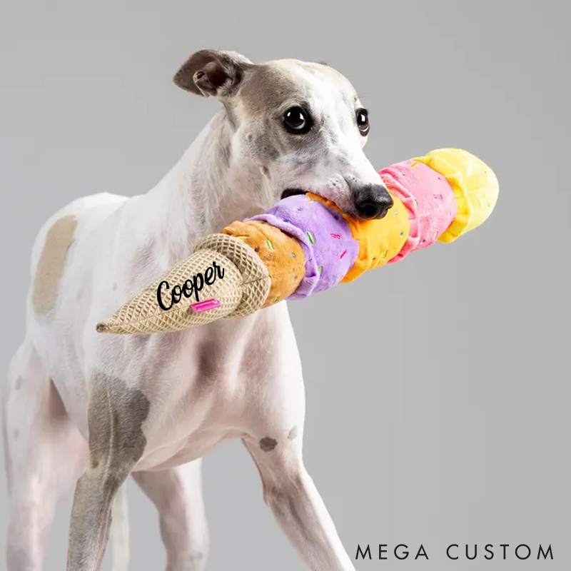 Personalized Dog Lover Squeaky Ice Cream Toy