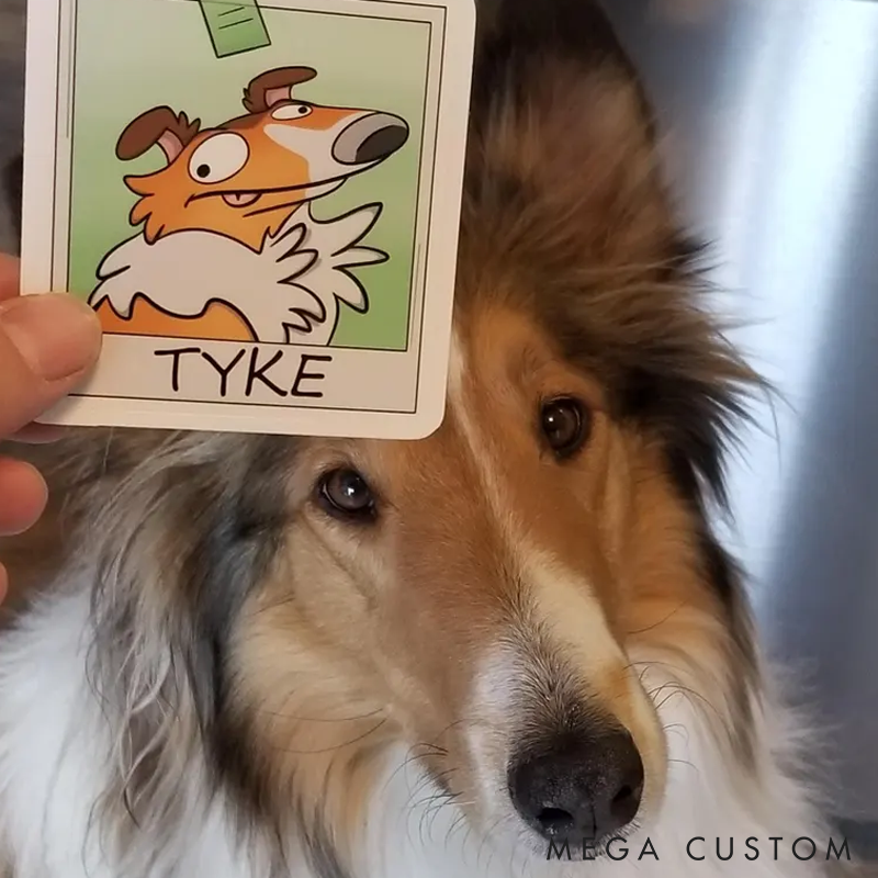 Personalized Pet Lover Funny Pet Photo Image Stickers