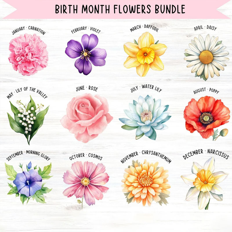 Personalized God Says i am Birth Flower Leather Cover Notebook with Custom Name Encouraging Scripture Bible Verse Journal Religious Christian Gift for her