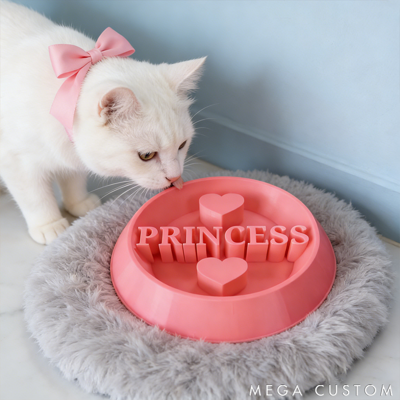 Personalized Custom Pet Bowl for Cats and Dogs with Customizable Text