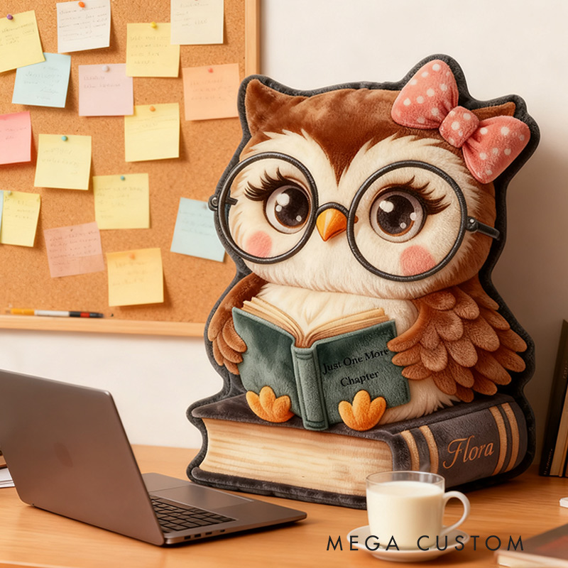 Personalized Funny Pillow Christmas Graphic 3D Print Owl Read One More Chapter Custom Name Gift for Reading Lovers