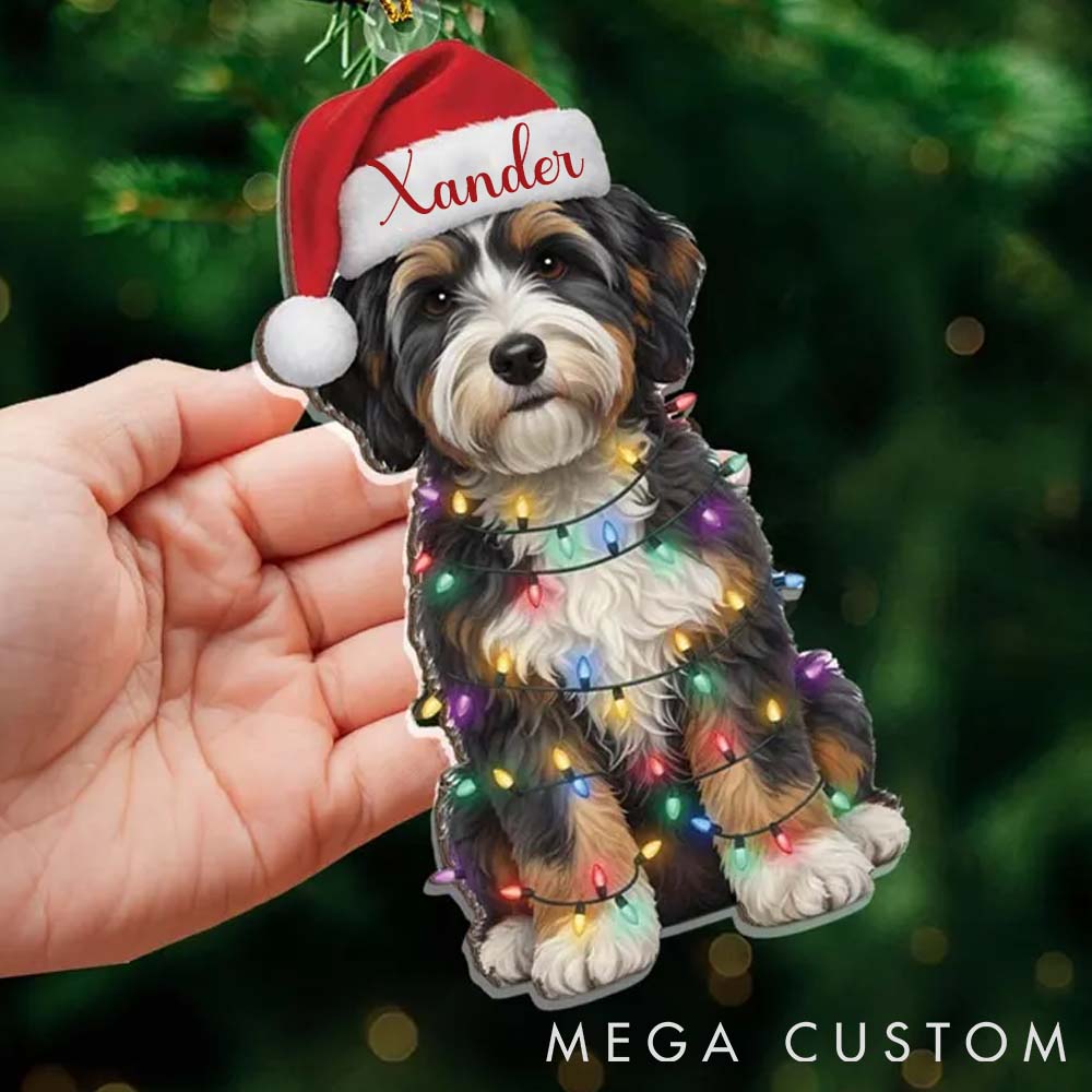 Personalized Pet Lover Pet Name Decoration Christmas Ornament