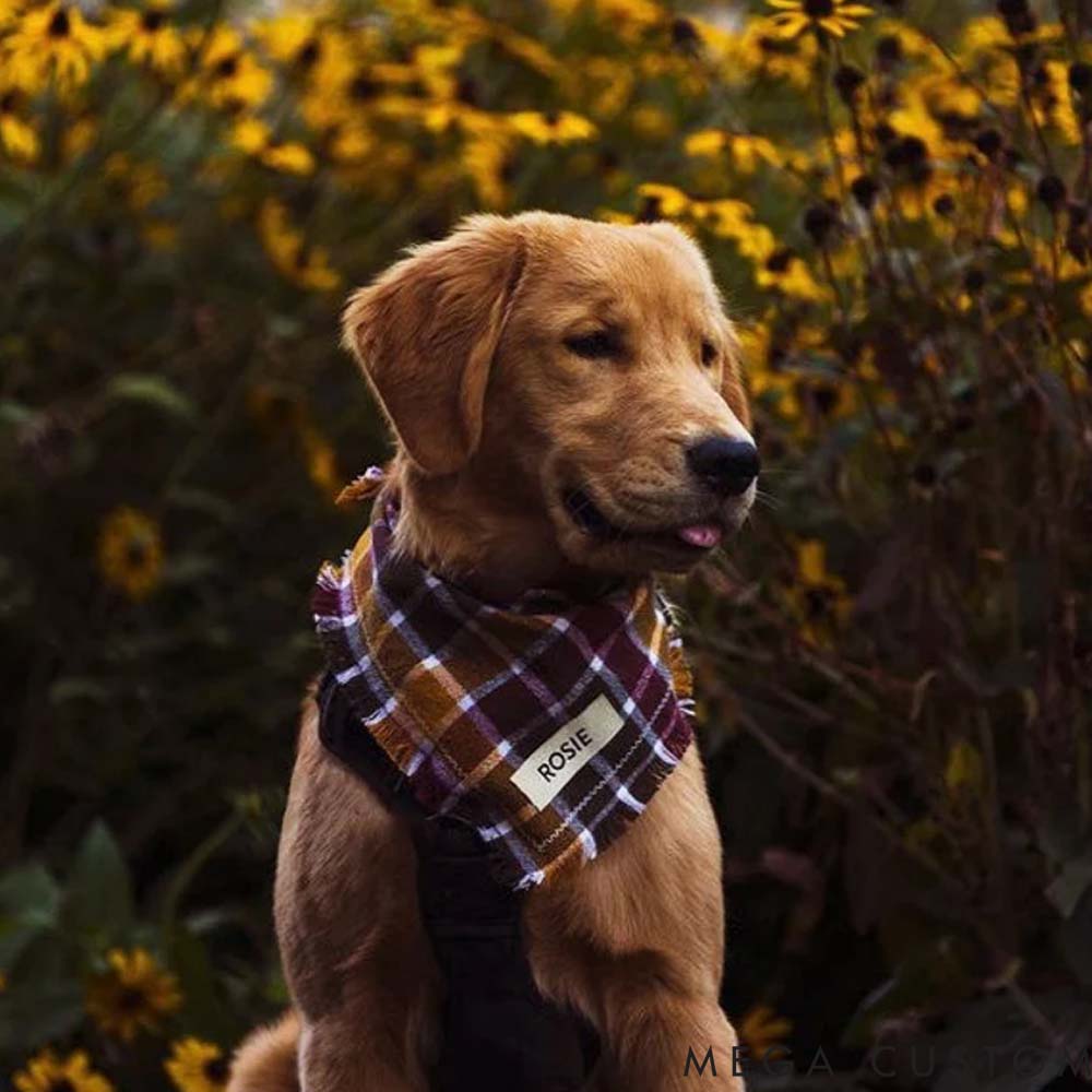 Personalized Dog Lover Autumn Dog Bandana Pet Bandana