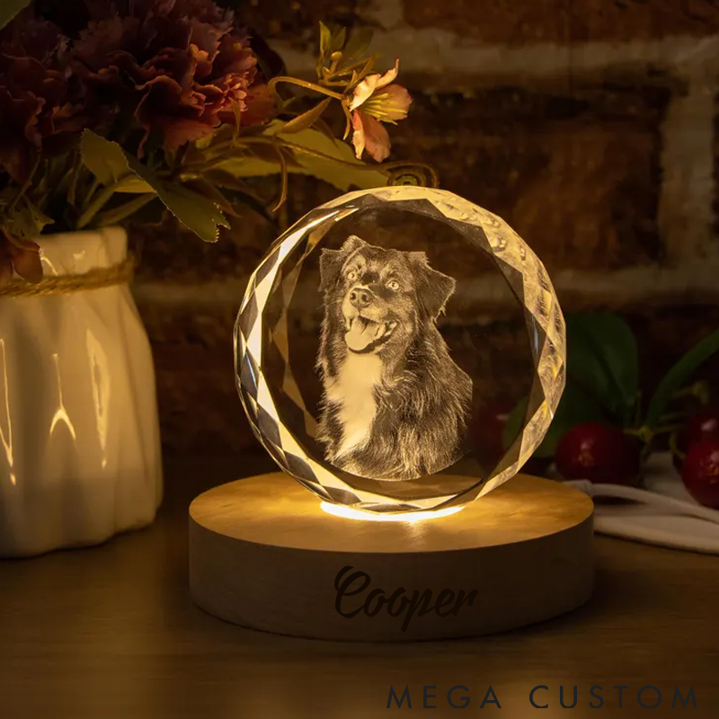 Personalized Pet Lover 3D Crystal Pet Photo Crystal Night Light