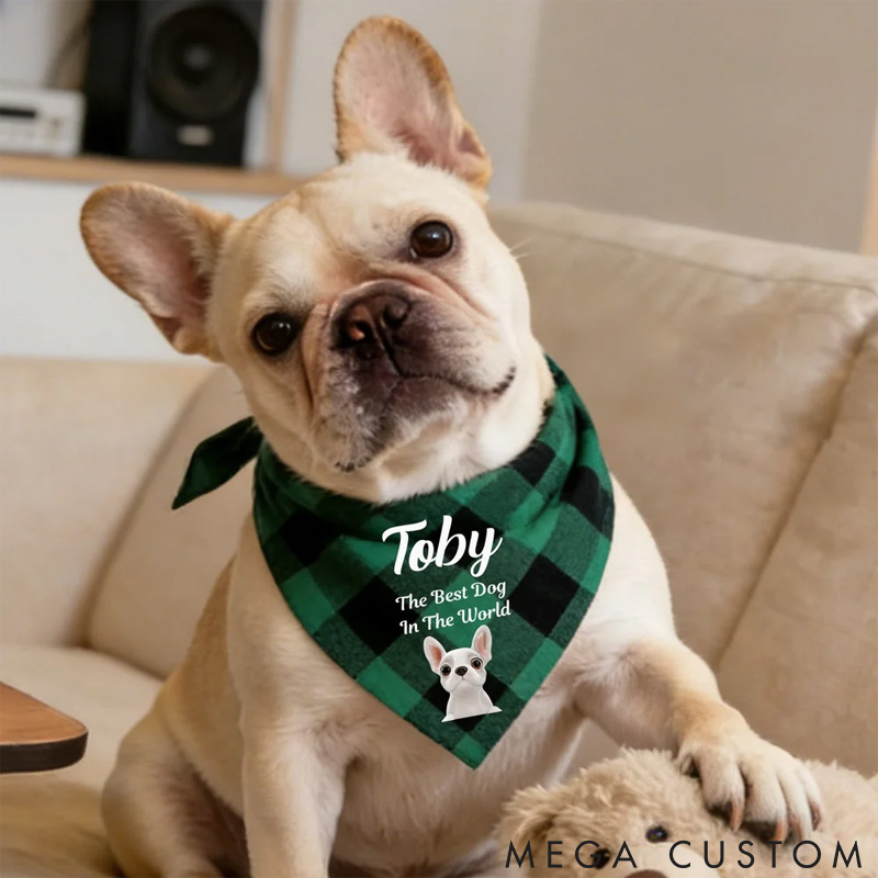 Personalized Dog Lover Multicolor Plaid 3D Cartoon Soft Pet Bandana with Pet Name and Text Pet Holiday Accessories Birthday Gift for Pet Owners Lovers Bandana