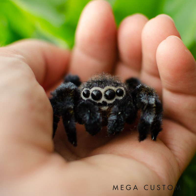 Needle Felted Jumping Spider Toy Poseable Wool Sculpture