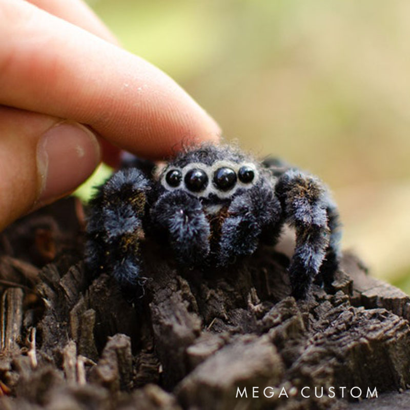 Needle Felted Jumping Spider Toy Poseable Wool Sculpture