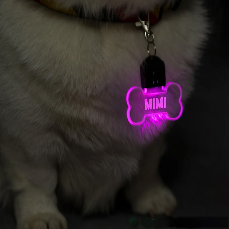 Personalized Paw and Bone Shaped LED Acrylic Dog Collar Tag with Name 7 Light Colors Dogs Safety Night Walking Camping Accessories for Pet Lovers