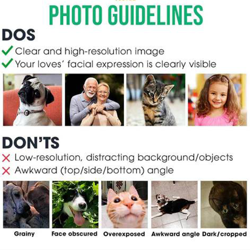 Personalized Photo Boxer Briefs Men's Christmas Boxers Funny Underwear with Face Photo Christmas Gift for Boyfriend Husband 